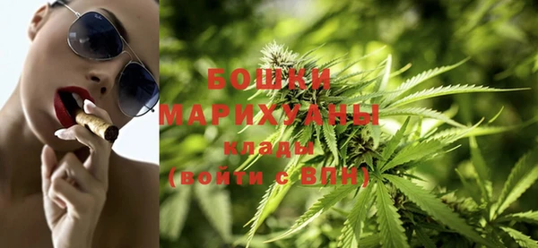 стафф Аркадак